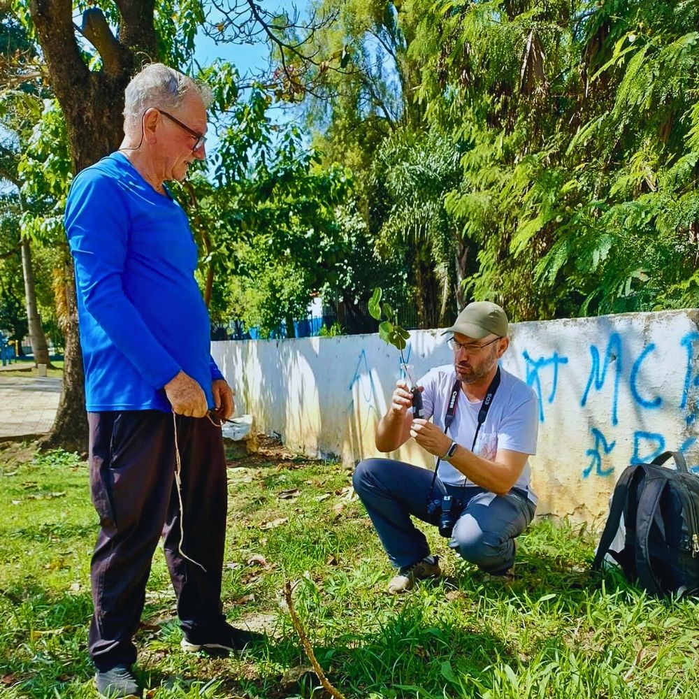 Tiquatira Linear Park Is a 3.2-Kilometer-Long, 100-Meter Wide Urban Park in São Paulo, Brazil, Transformed From a Degraded Area by Helio Da Silva. He Planted Over 40,000 Trees
