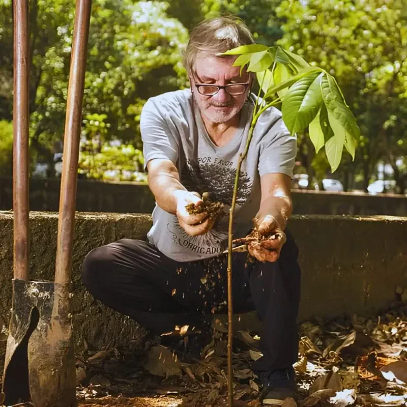 Tiquatira Linear Park Is a 3.2-Kilometer-Long, 100-Meter Wide Urban Park in São Paulo, Brazil, Transformed From a Degraded Area by Helio Da Silva. He Planted Over 40,000 Trees - Thursd Article