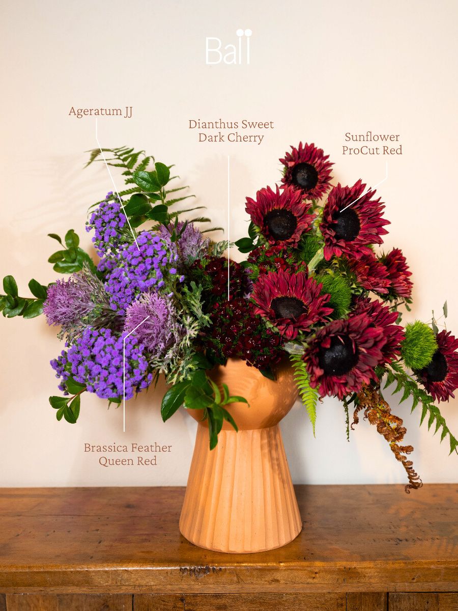 Floral Design With Ageratum JJ by Ball