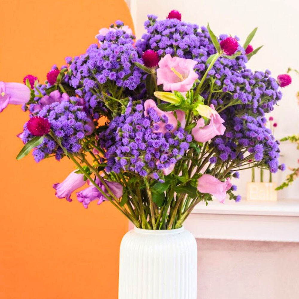 Floral Design With Ageratum JJ Strange Wonders by Ball