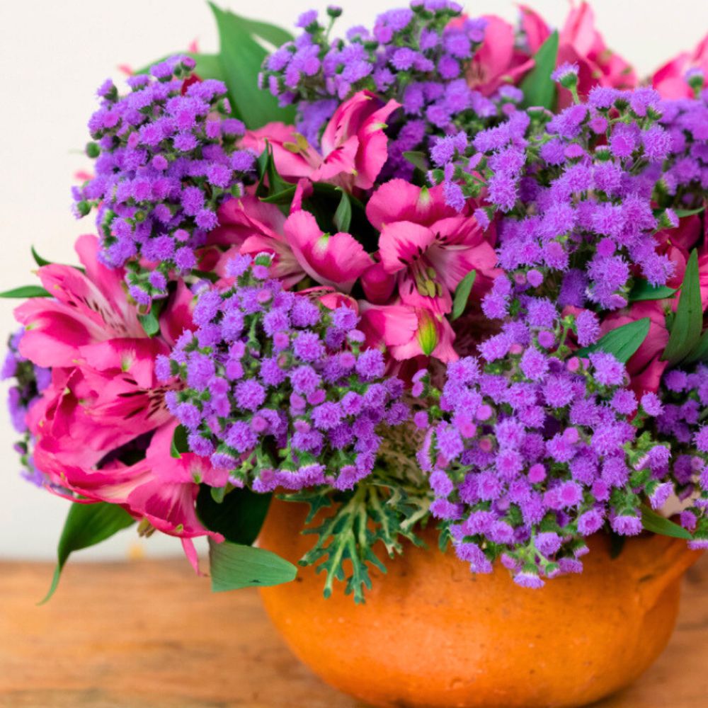 Ageratum JJ Strange Wonders Ball in Combination With Alstroemeria in Arrangement