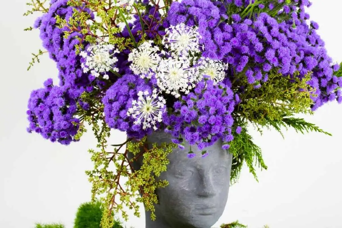 Strange Wonders Ageratum JJ Ball SB Wide Featured