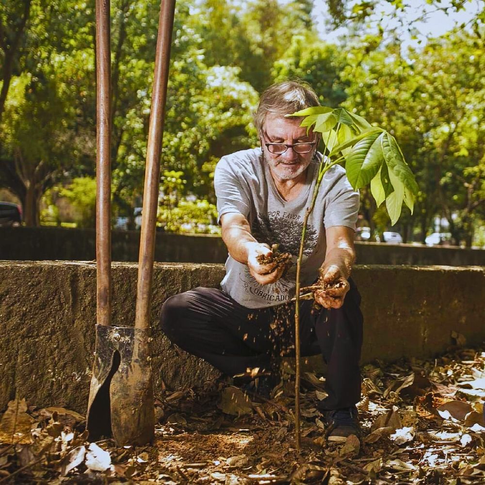 Tiquatira Linear Park Is a 3.2-Kilometer-Long, 100-Meter Wide Urban Park in São Paulo, Brazil, Transformed From a Degraded Area by Helio Da Silva. He Planted Over 40,000 Trees - Thursd Article