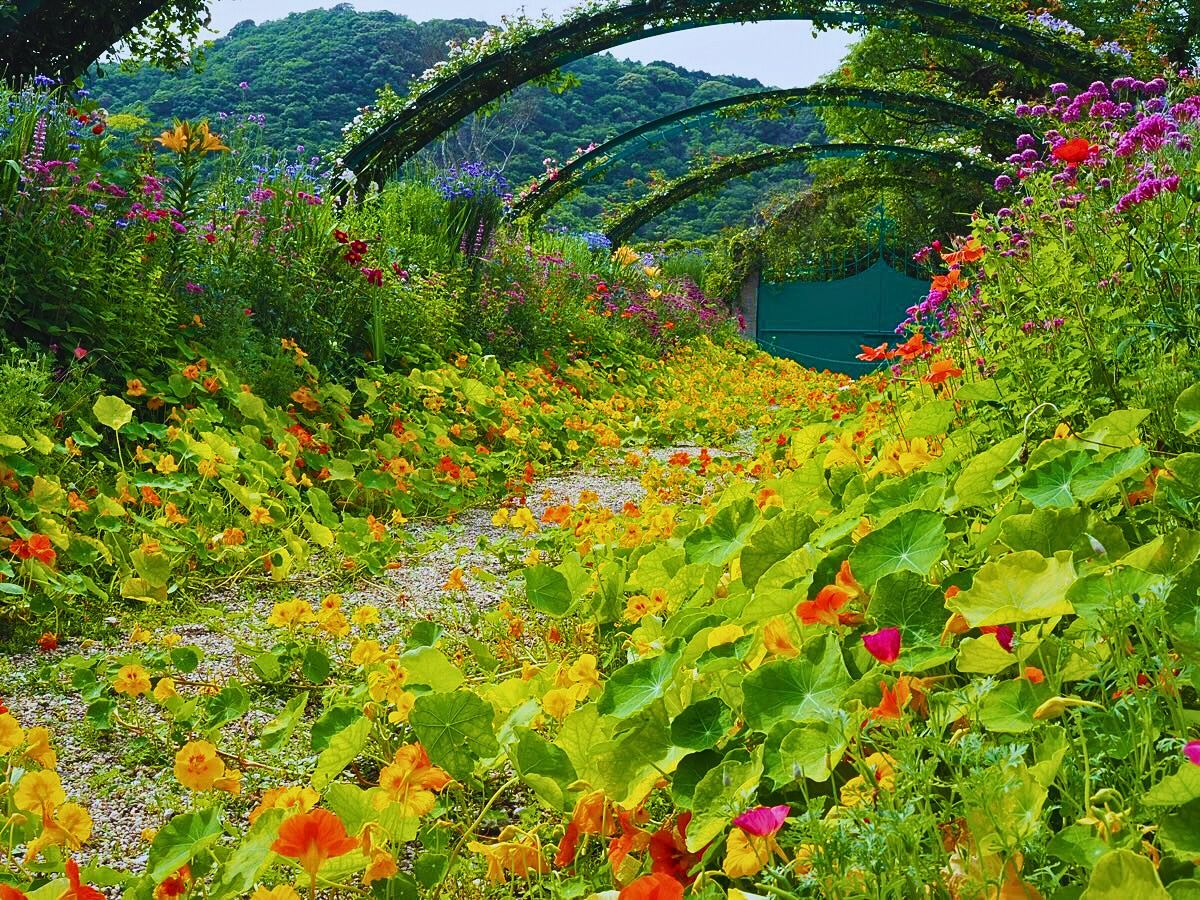 Monet’s Garden Marmottan Monet’s Garden Marmottan in Kitagawa Is a Tribute to the French Impressionist Painter Claude Monet’s Garden in Giverny - Thursd Article
