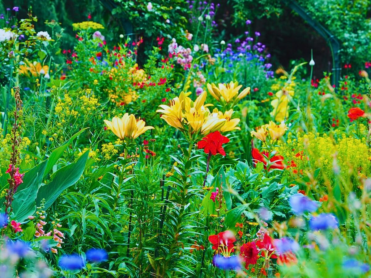 Colorful garden flowers Monet’s Garden Marmottan in Kitagawa Is a Tribute to the French Impressionist Painter Claude Monet’s Garden in Giverny - Thursd Article
