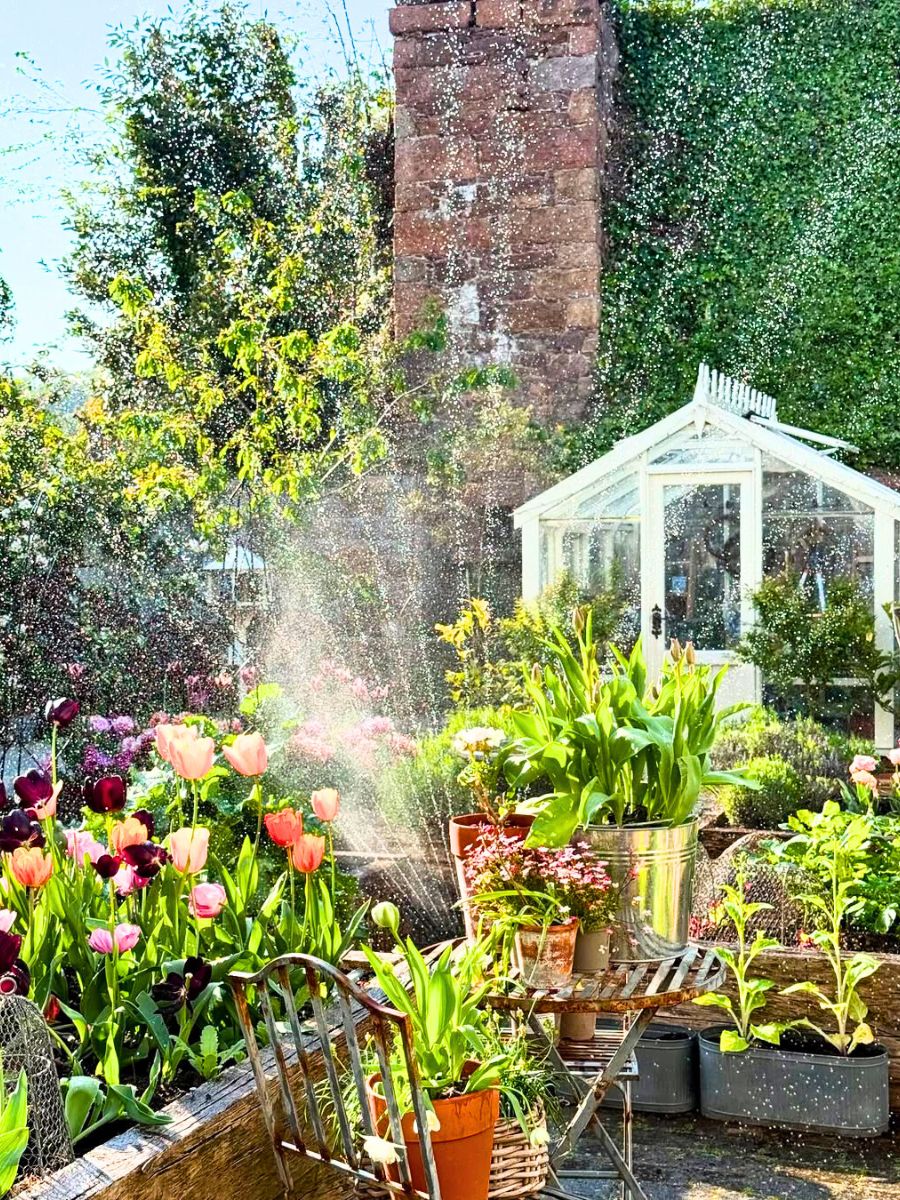 Watering flowers in a garden