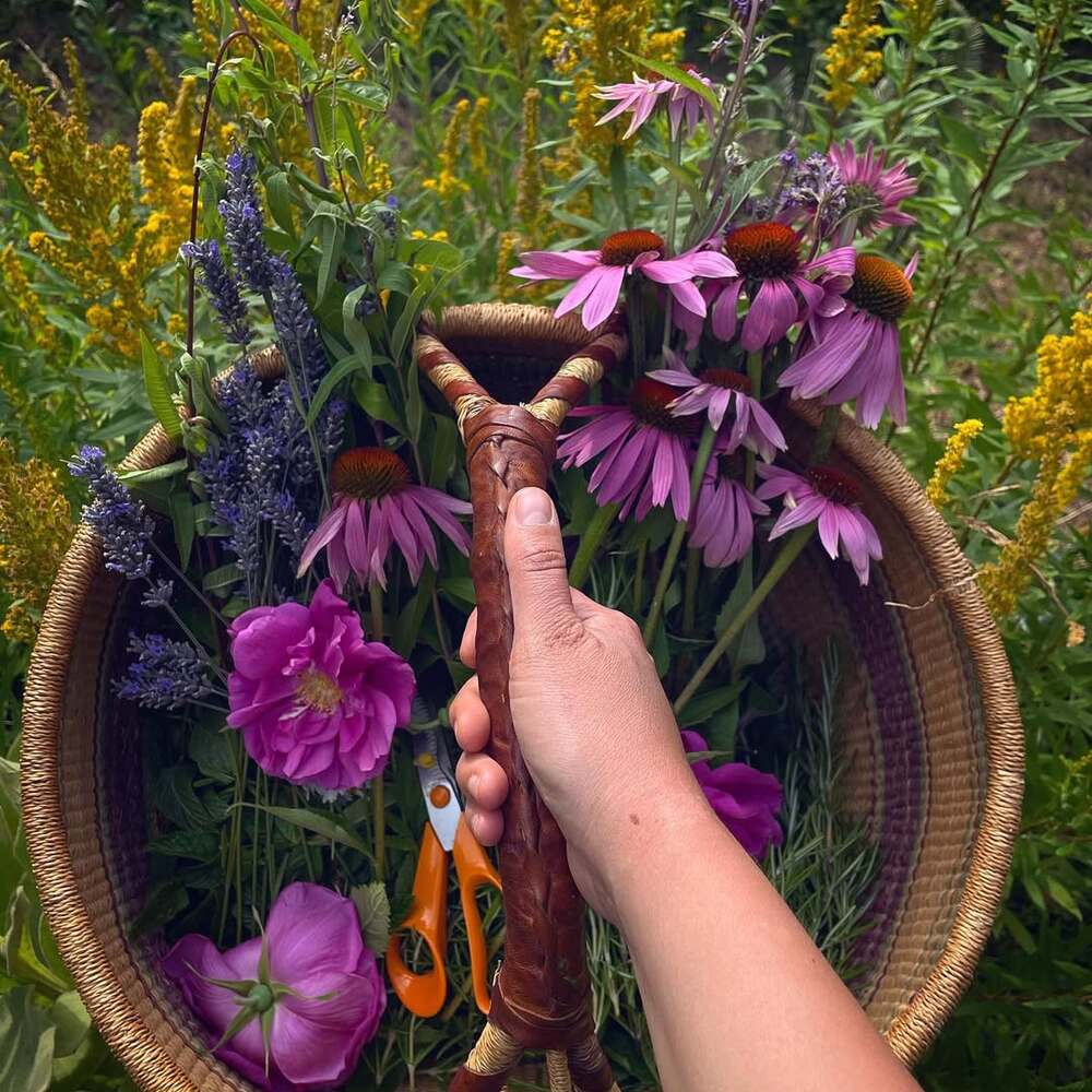 Hand holding basket of freshly harvested flowers Hand holding basket of freshly harvested flowers