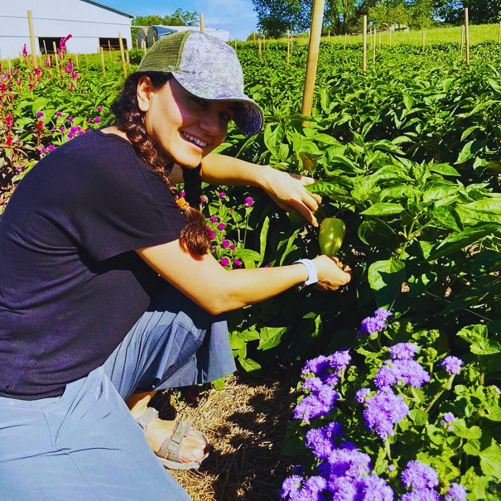 Companion planting Why Companion Planting With Flowers Matters, and How You Can Effectively Achieve It - Thursd Article