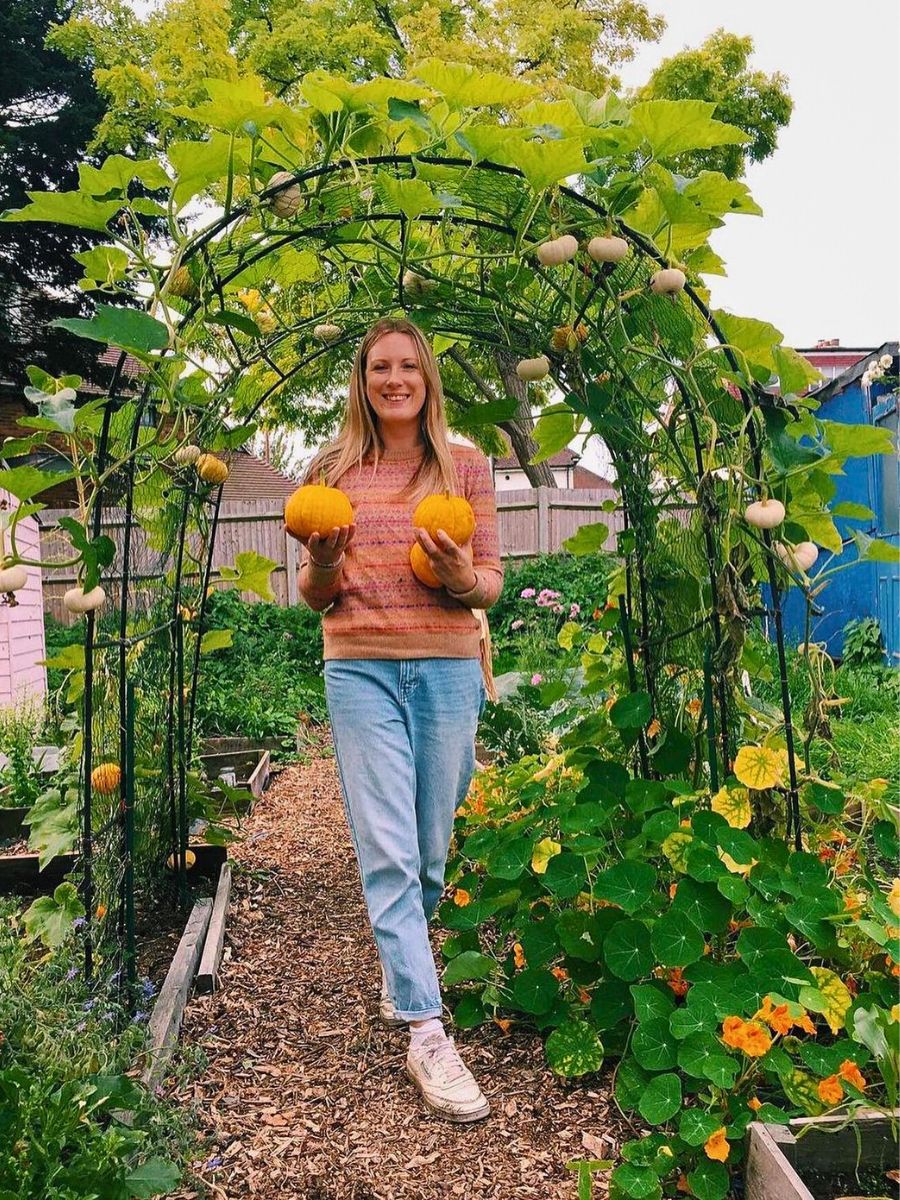 Companion planting Why Companion Planting With Flowers Matters, and How You Can Effectively Achieve It - Thursd Article