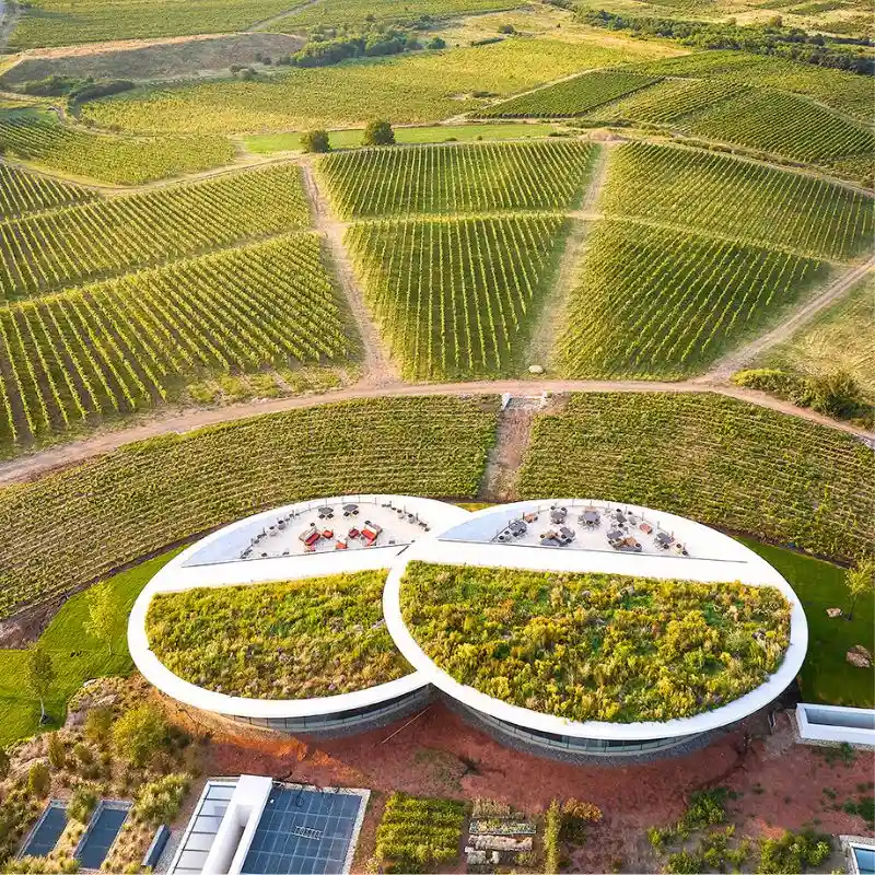 Sauska Tokaj winery