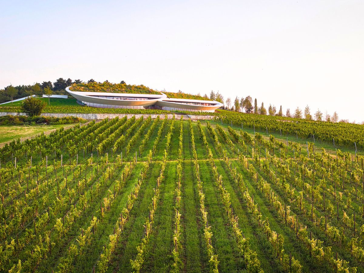Stunning views of the WineryStunning views of the Winery