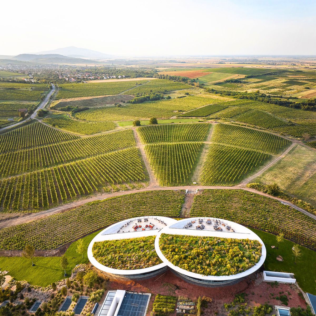 A zoomed out view of the winery in Hungary