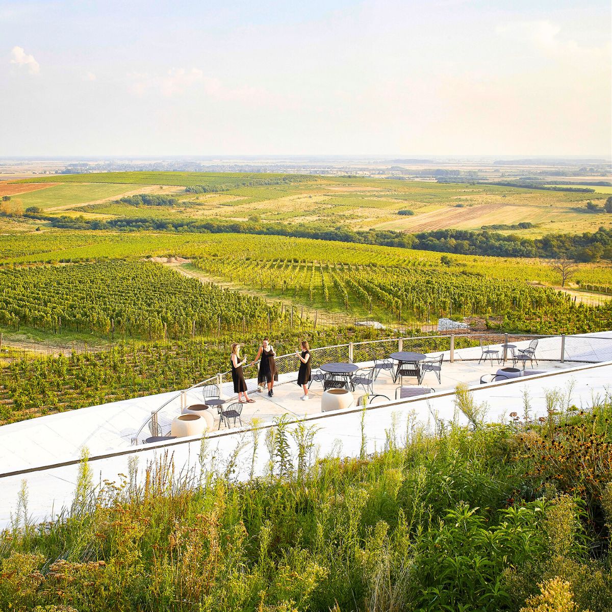 People enjoying the view of the winery and green landscapes