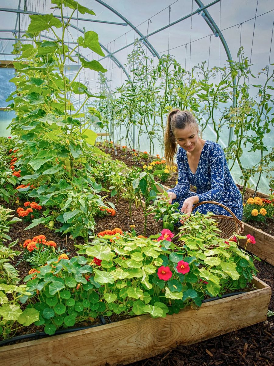 Flower and vegetable gardening Why Companion Planting With Flowers Matters, and How You Can Effectively Achieve It - Thursd Article