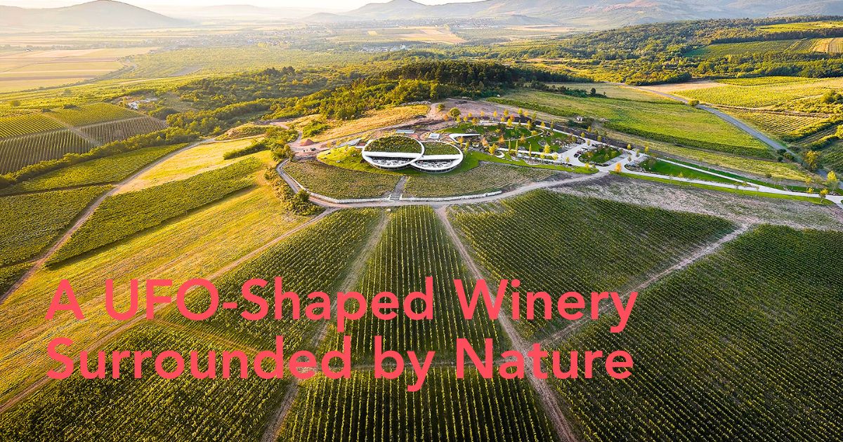 Hungary winery