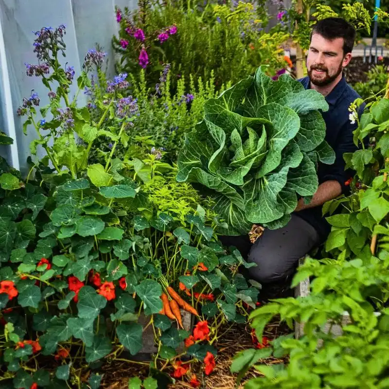 Why Companion Planting With Flowers Matters, and How You Can Effectively Achieve It - Thursd Article