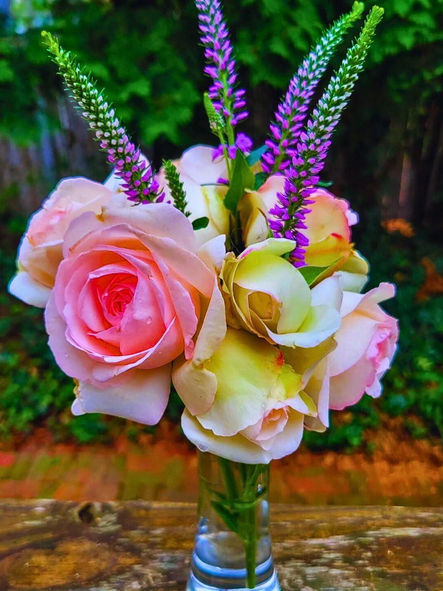 Veronica and roses design