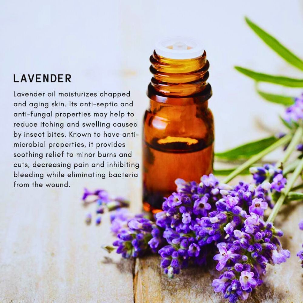 Lavender oil benefits for the skin benefits of lavender oil for skin and aromatherapy