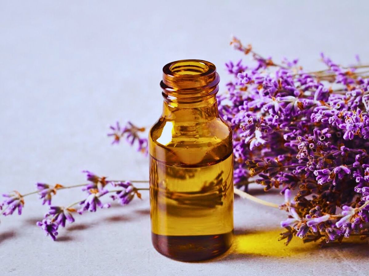 Lavender essential oils lavender carries various antiseptic properties and its fragrance is known to suppress environmental stressors