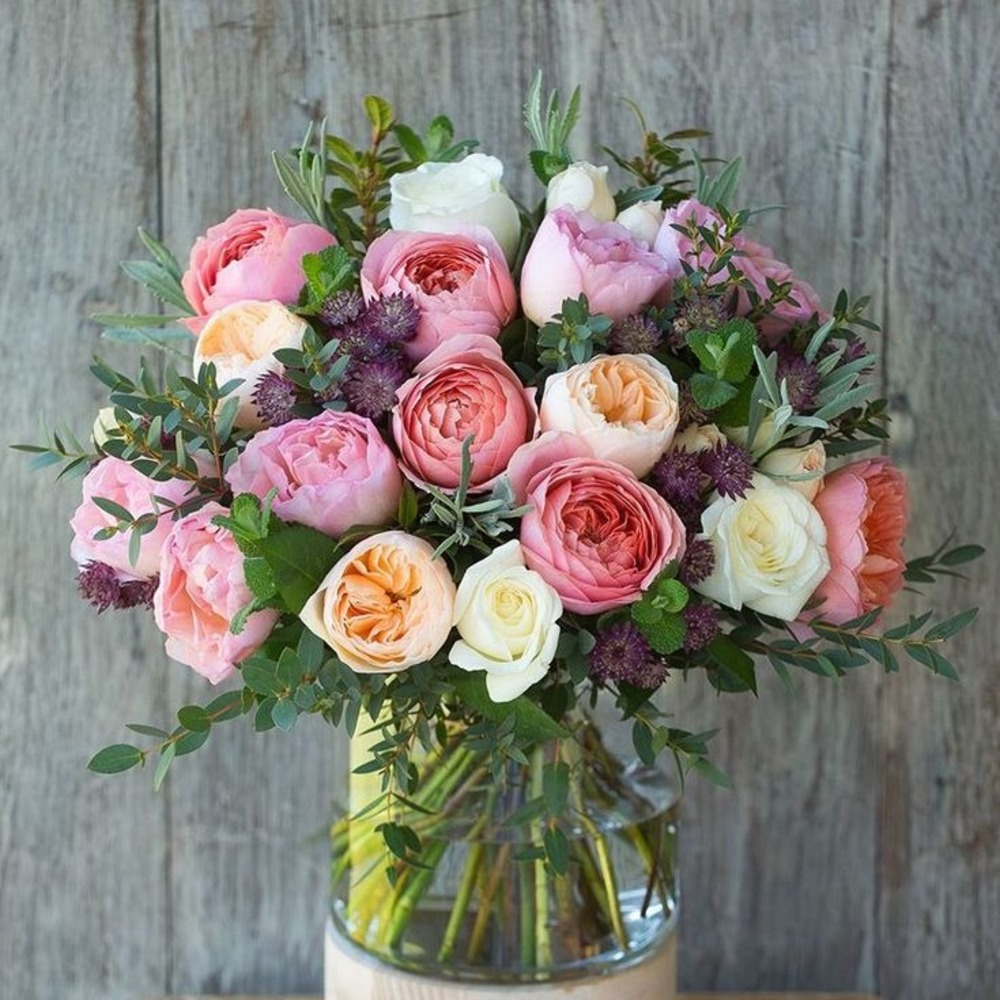 Colorful rose bouquet promotes wellness Colorful rose bouquet promotes wellness