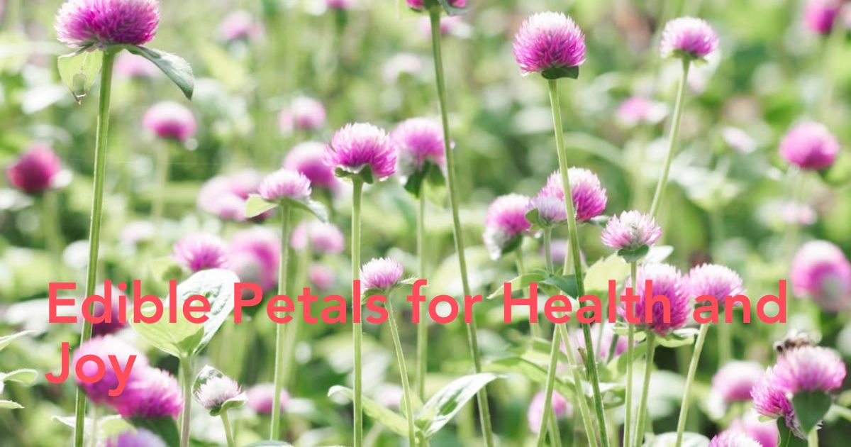 Flower Magic Sparks Health and Longevity Vibes Header Image