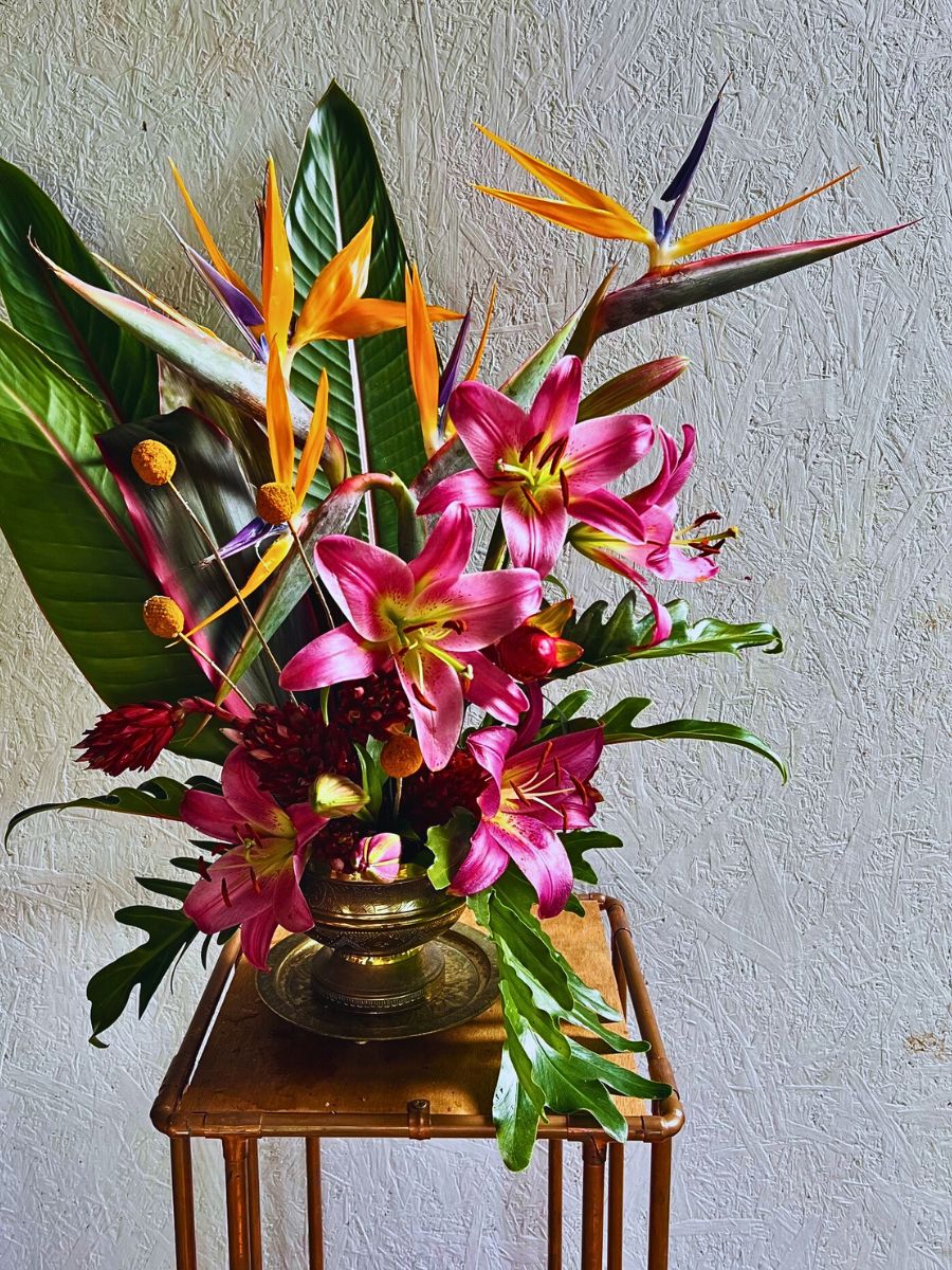 Bird of Paradise design Bird of paradise in a pot arrangement kept indoors