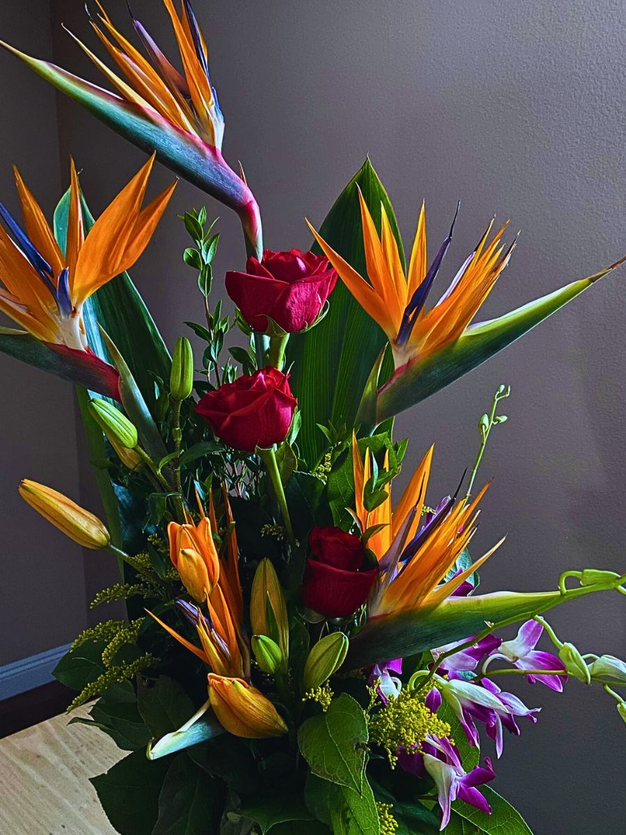 Bird of Paradise in a design The Bird of Paradise easily delivers unmatched visual and aesthetic impact in designs