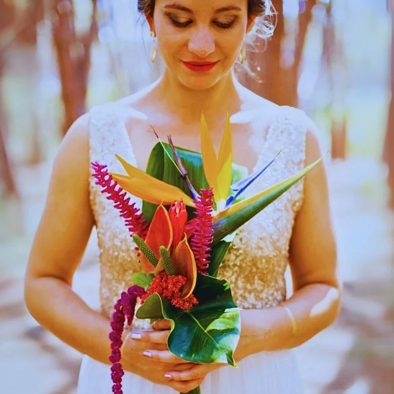 The Charm of Bird of Paradise, Also Called Strelitzia Reginae, in Bird of Paradise Floral Designs and Bird of Paradise Arrangements - Thursd Article