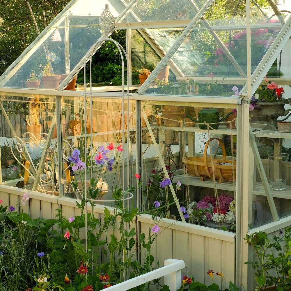 Glass greenhouse with blooming flowers