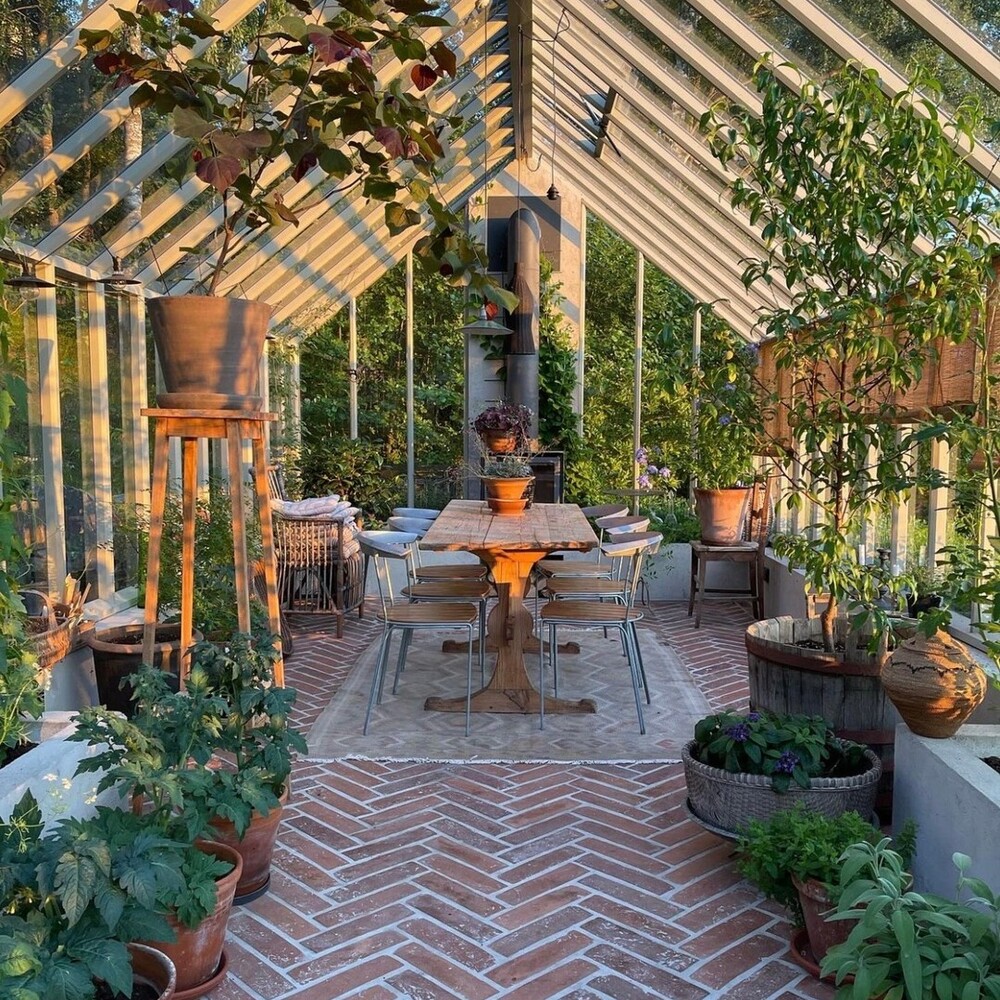 Cozy greenhouse filled with plants