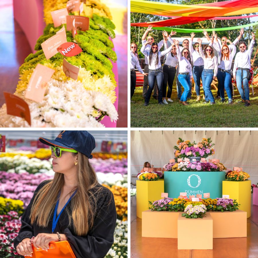 Moments shared during Chrysanthemum Week