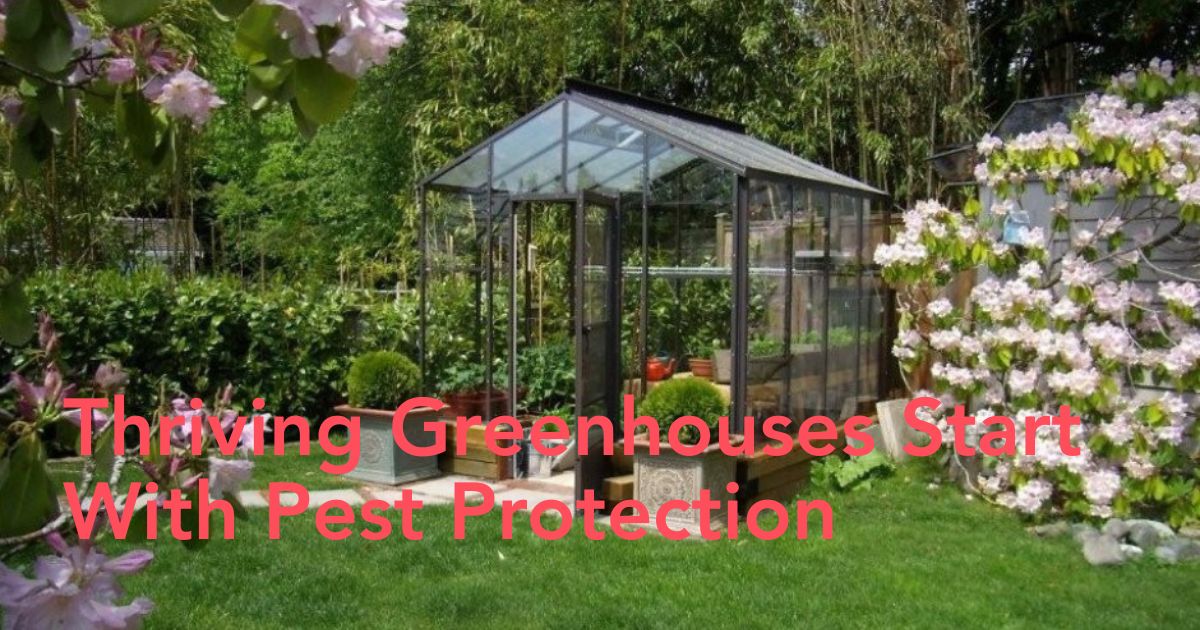 How to Protect Greenhouses from Termites Header Image