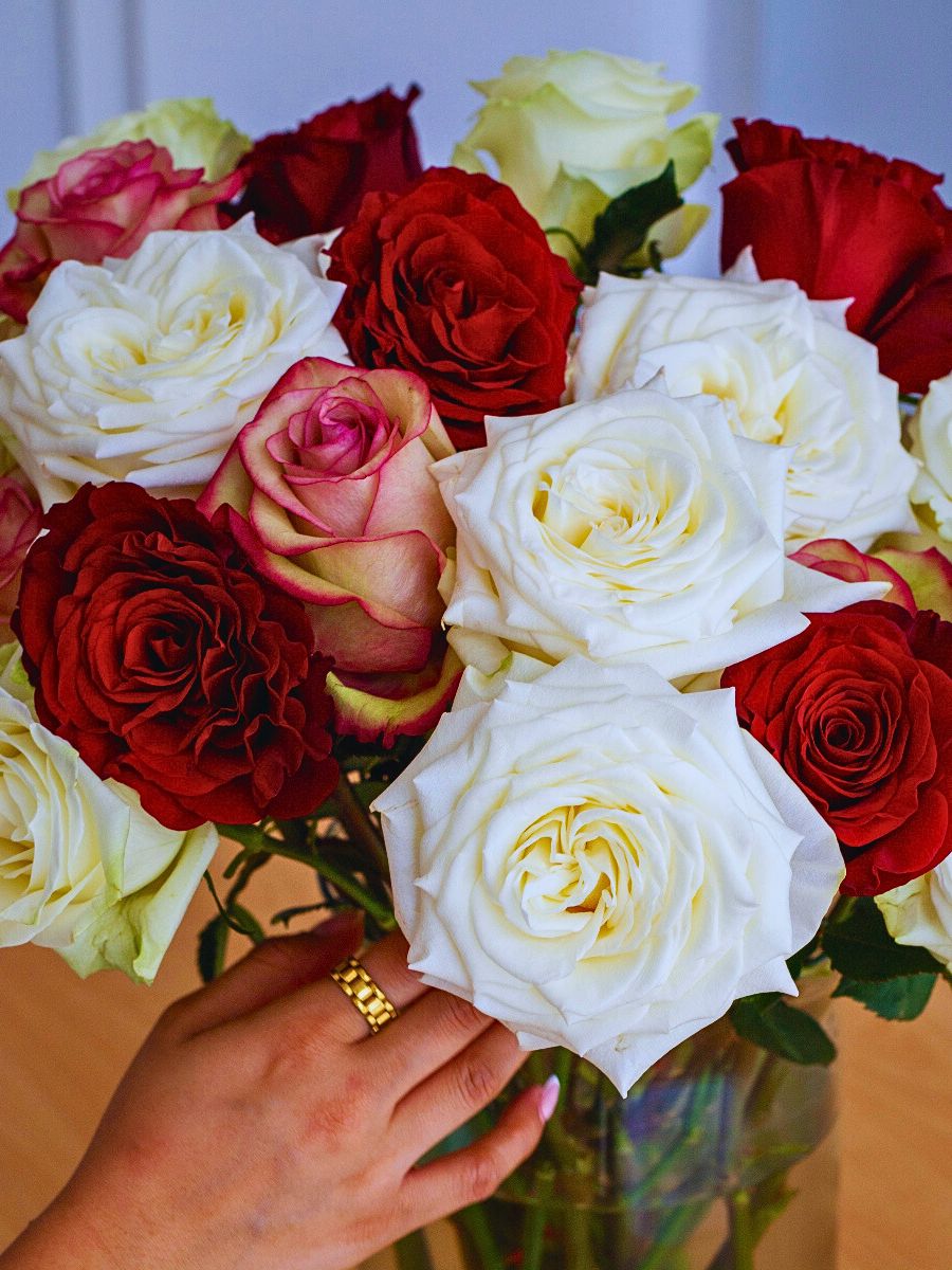Ecuadorian roses Floranow’s Strategic Flower Sourcing Model Harnesses Global Strengths for Optimal Flowers