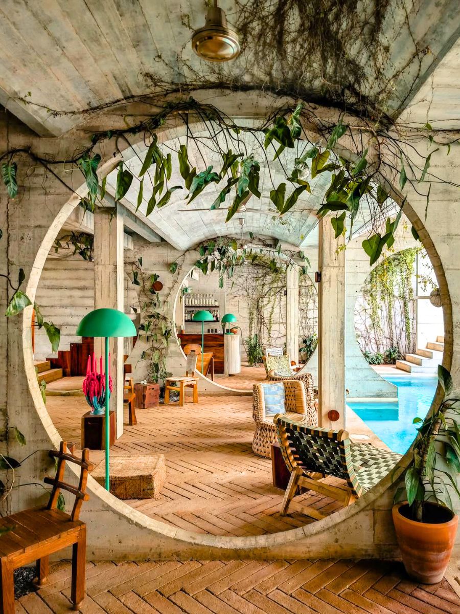 Hanging plants on concrete walls