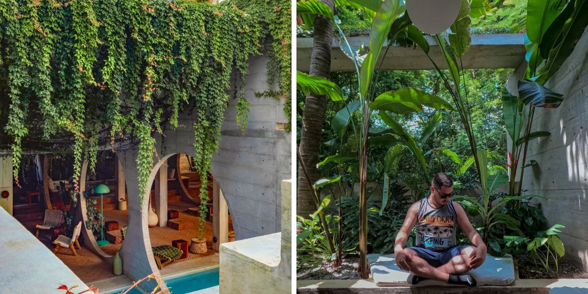 Vines and planty interiors and exteriors at Casa TO Vines and planty interiors and exteriors at Casa TO