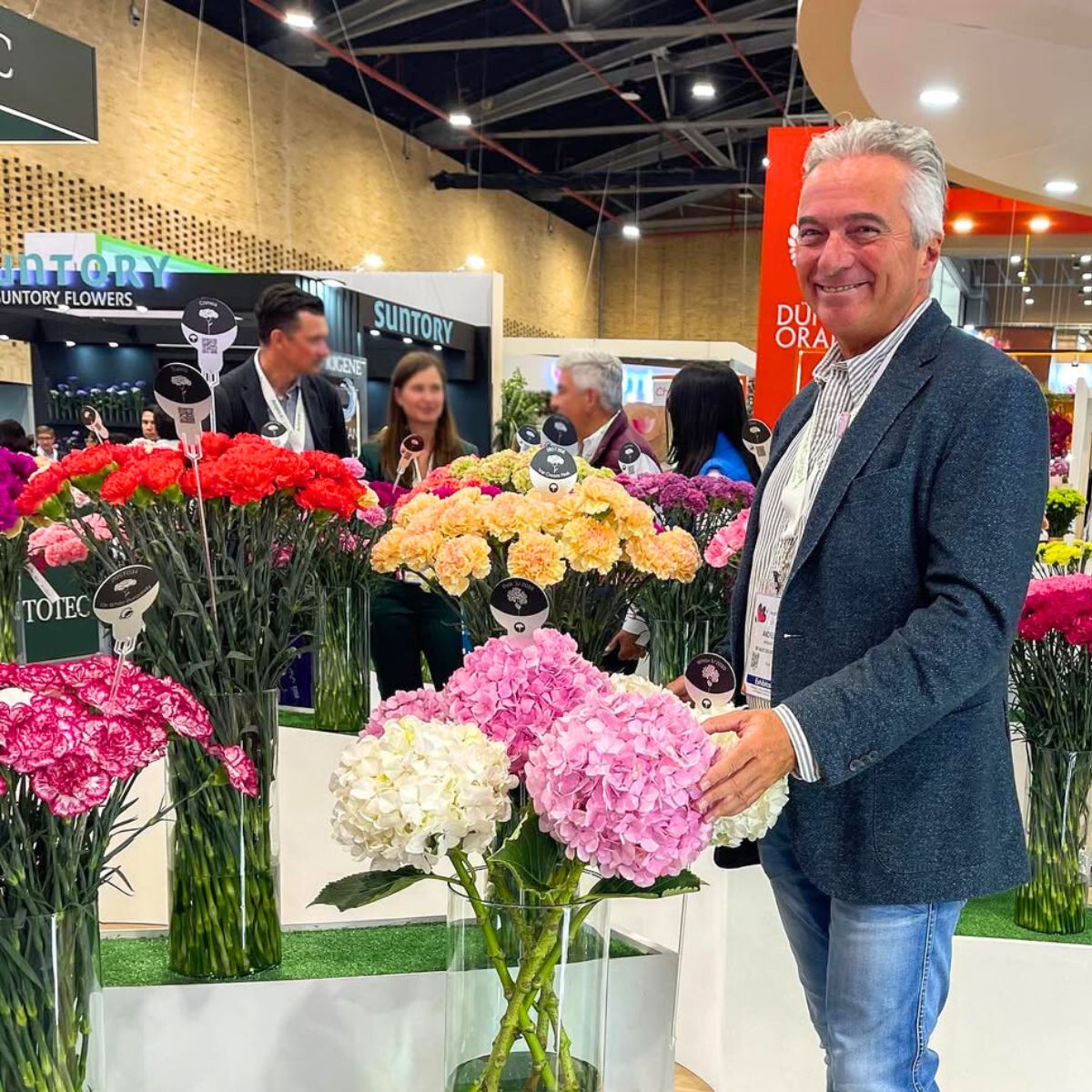 Hydrangeas during Proflora Colombia fair