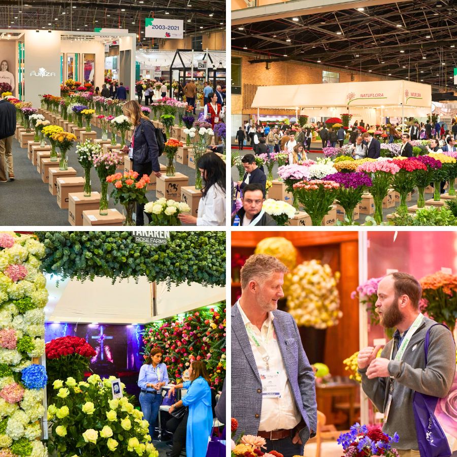 Moments at last years Proflora trade show
