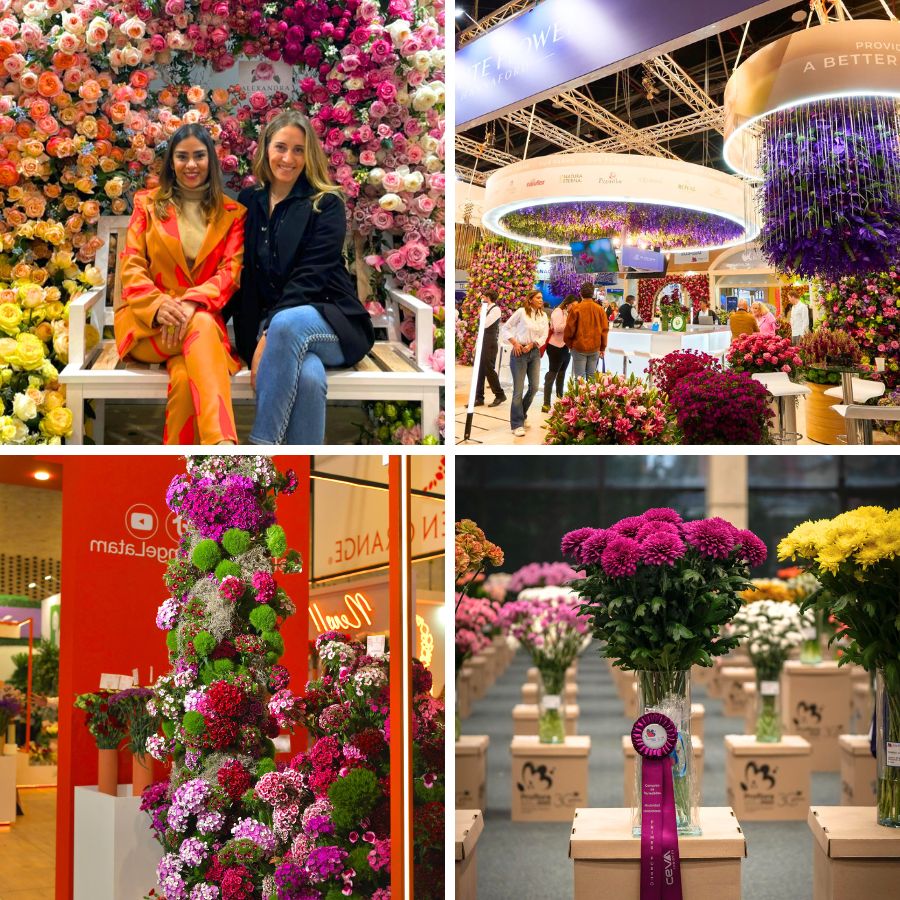 Flowering with joy and flowers at Proflora