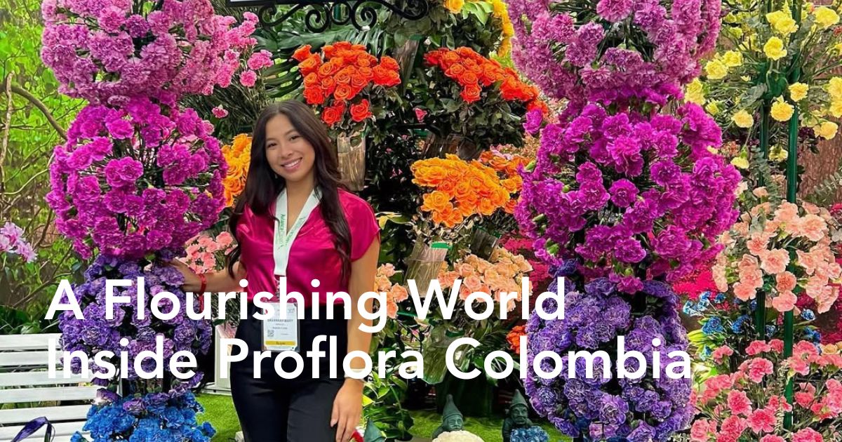 Flourishing inside Proflora