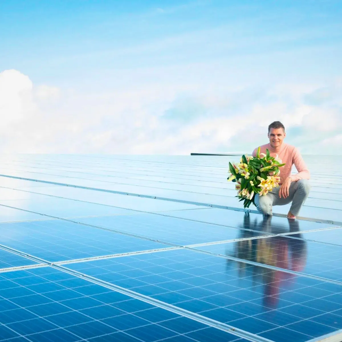 Peter Evers Bredefleur Solar Roof