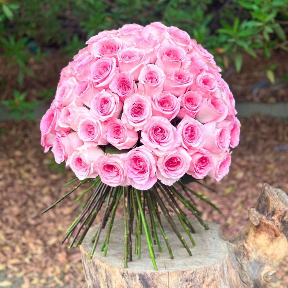 Rose Mandala