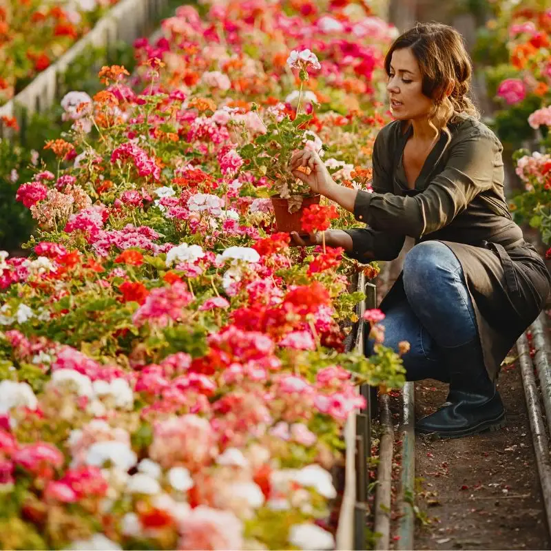 From a Sustainable Floriculture Perspective, Flowers Actively Support Soil Health - Thursd Article