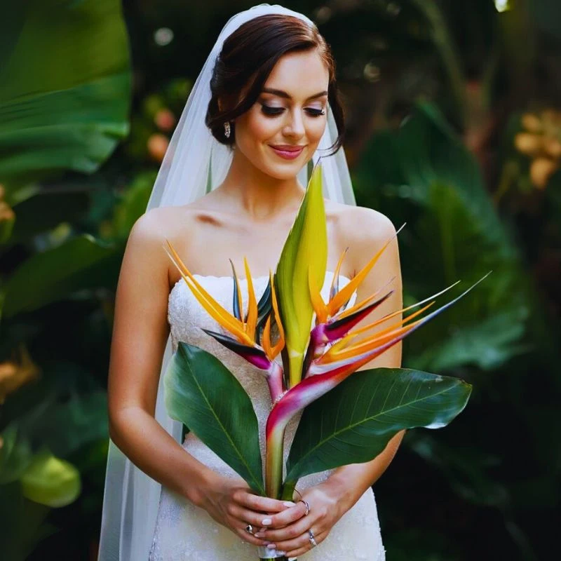 Bird of Paradise in flower arrangements - Thursd Article featured image