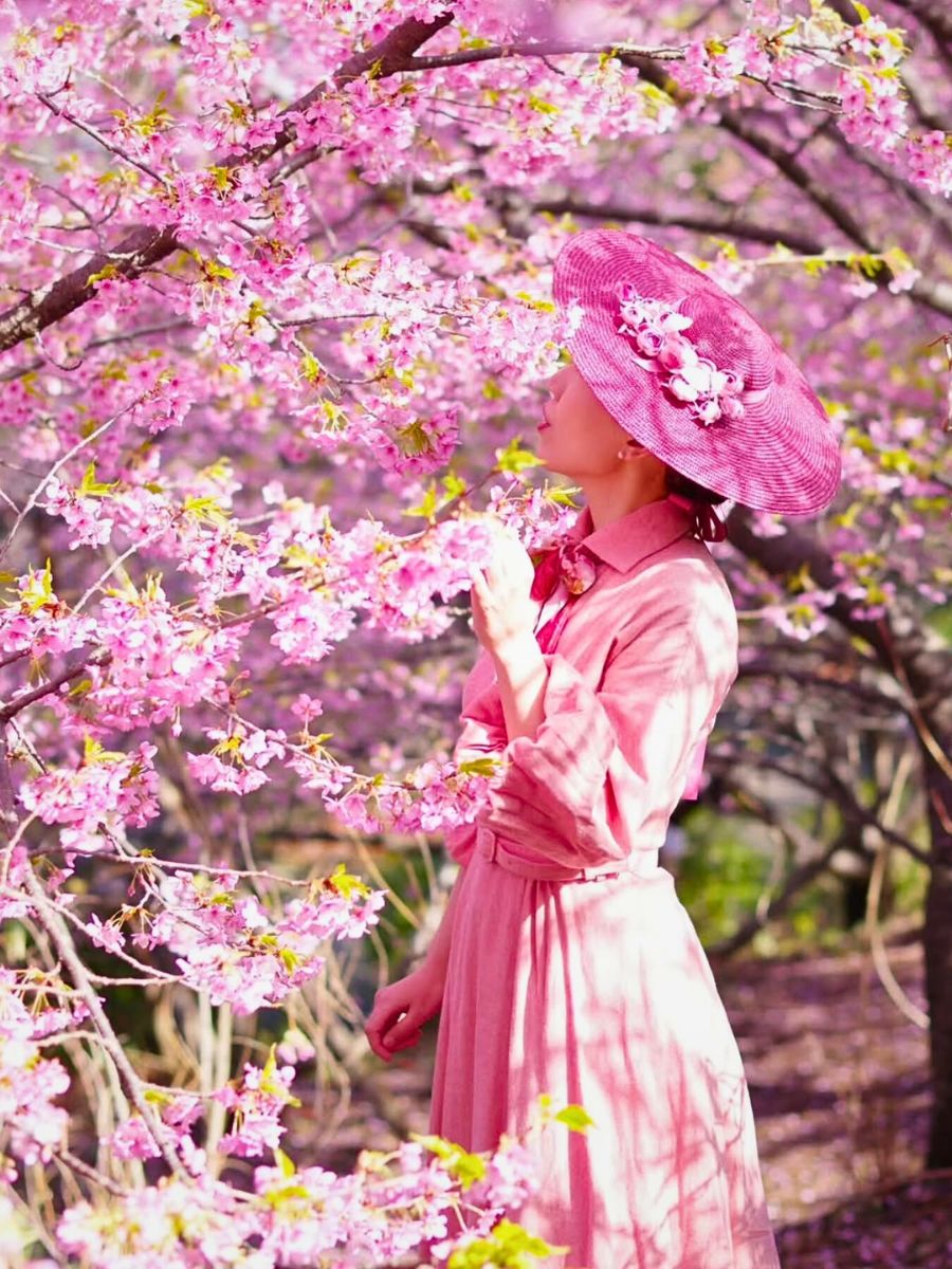 Cherry blossoms in bloom Climate Change and Its Impacts on the Flowering and Blooming Cycles of Plants - Thursd Article.