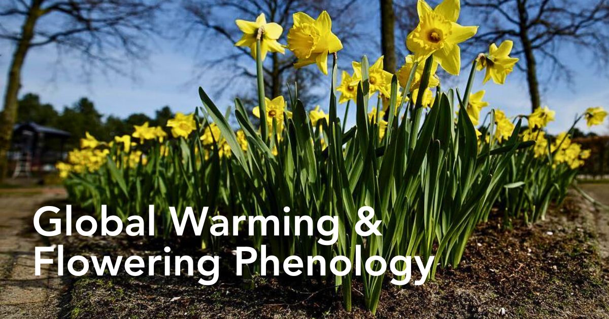 Climate Change and Its Impacts on the Flowering and Blooming Cycles of Plants - Thursd Article.