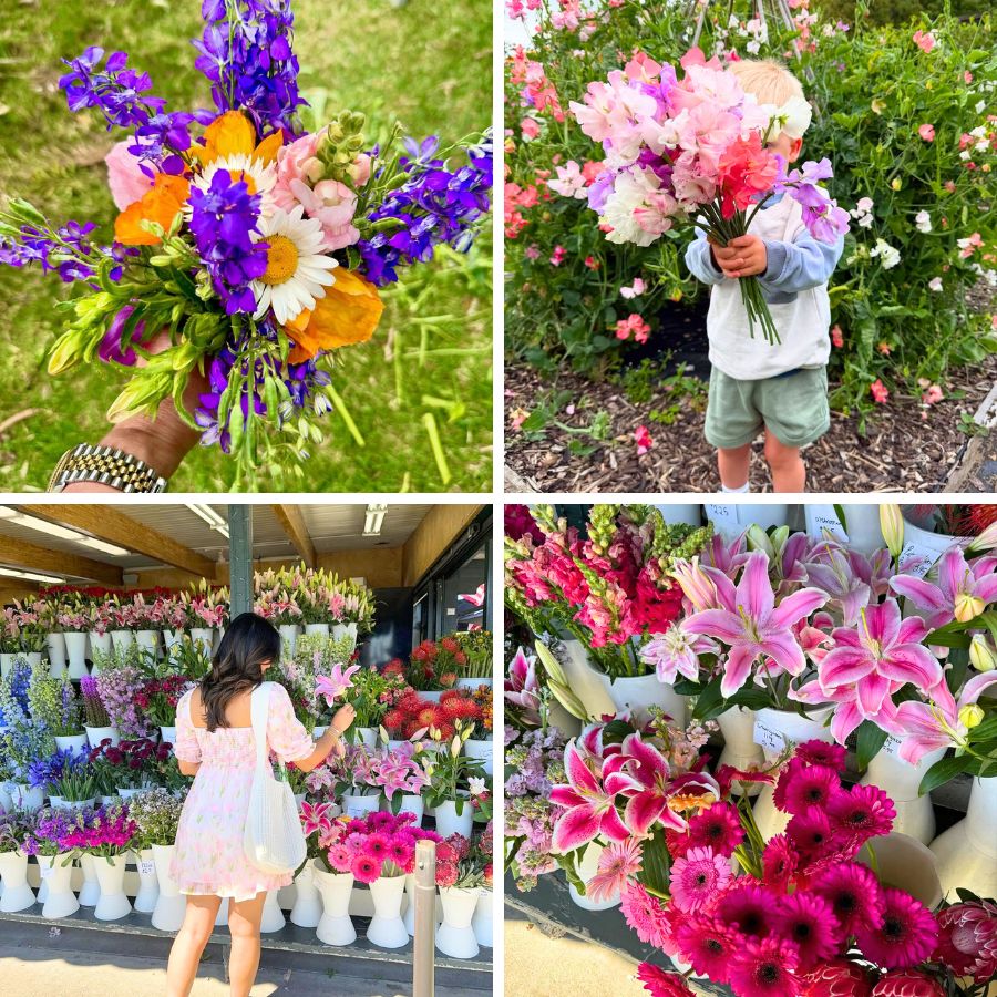 Picking your favorite colorful flowers