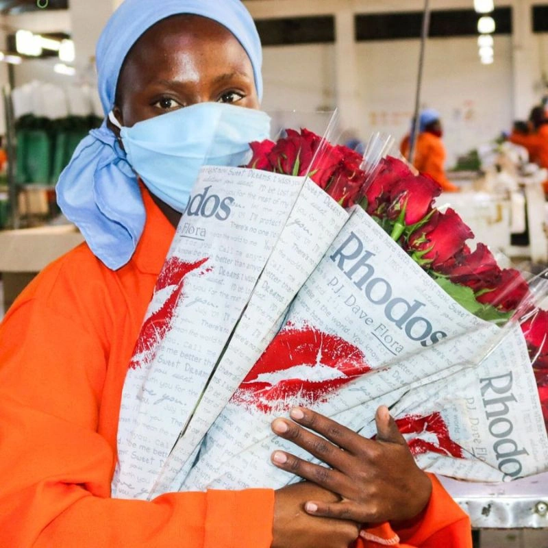 7 Rose Varieties That Are Currently Most Popular in Kenya - Thursd Article - Featured Image