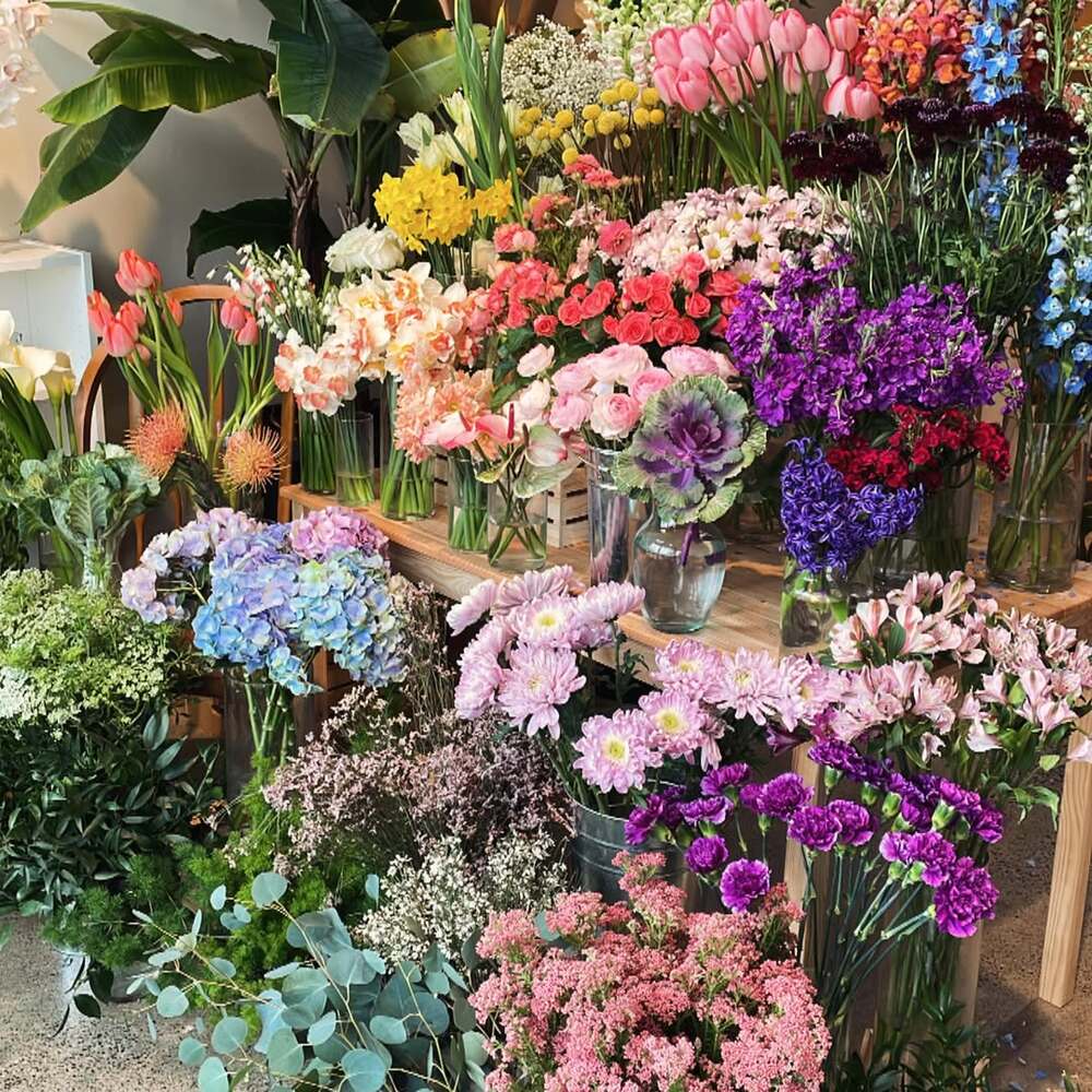 Colorful flower display in shop Colorful flower display in shop
