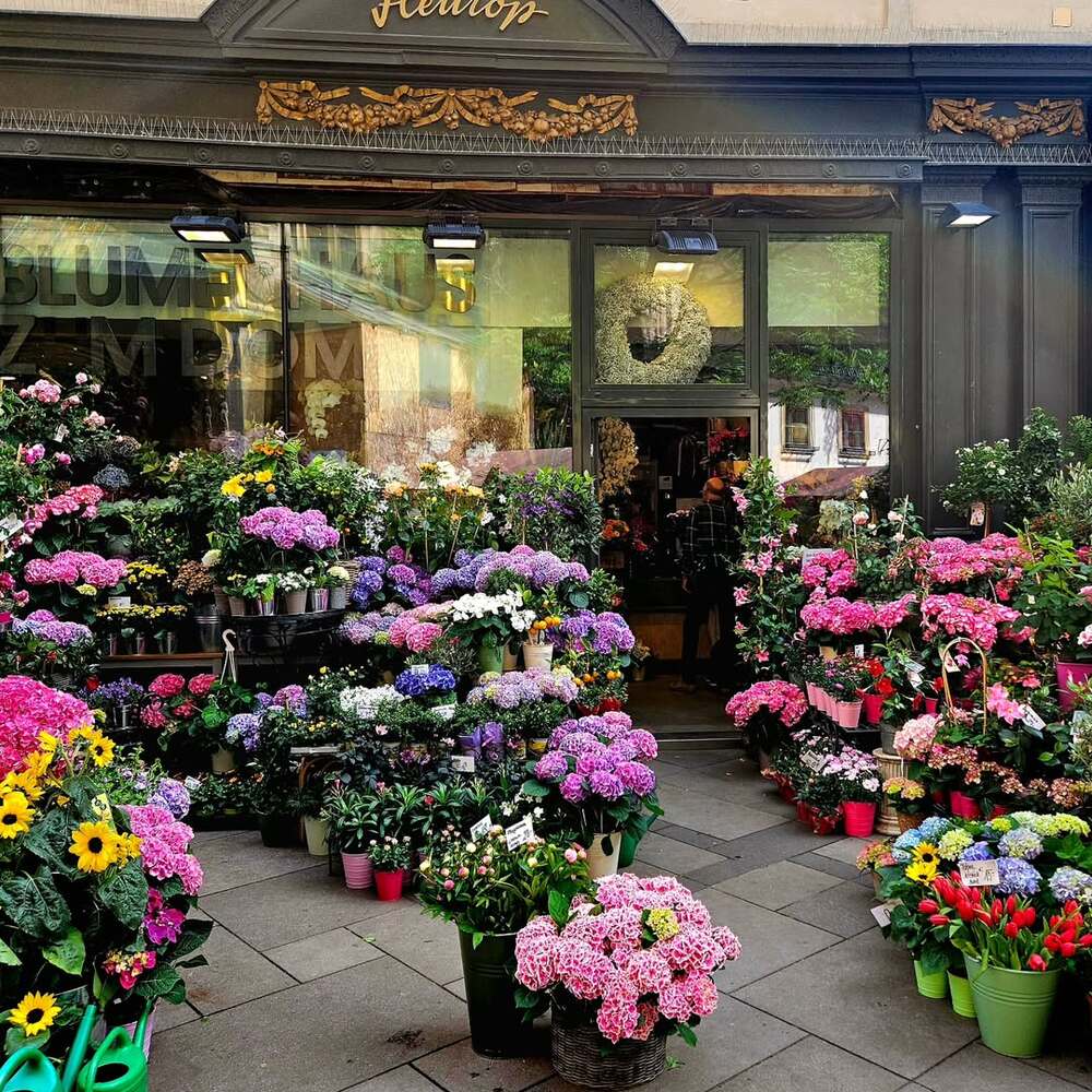 Vibrant mix of flowers on display Vibrant mix of flowers on display