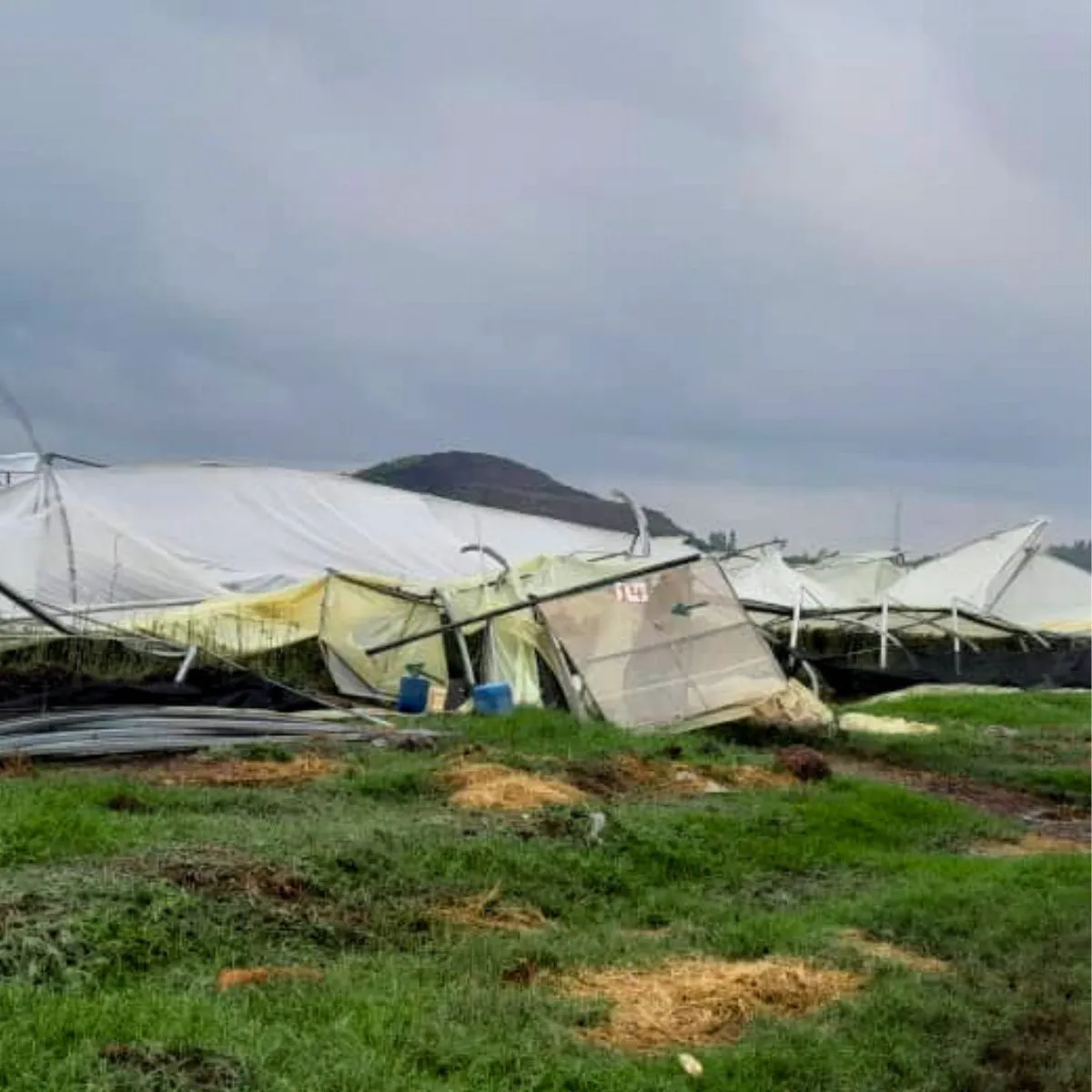 Ethiopian Storm Damage Greenhouses